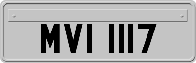 MVI1117