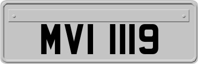 MVI1119