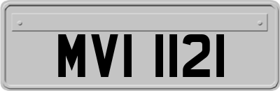 MVI1121