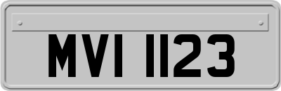 MVI1123