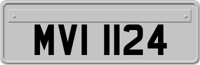MVI1124