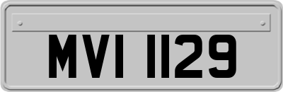 MVI1129