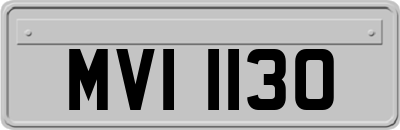 MVI1130