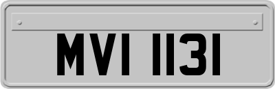 MVI1131