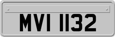 MVI1132