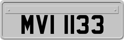 MVI1133