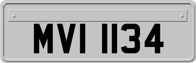 MVI1134