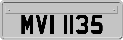 MVI1135