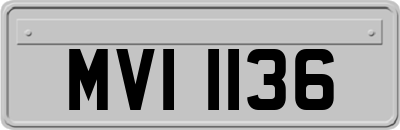 MVI1136