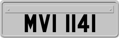 MVI1141