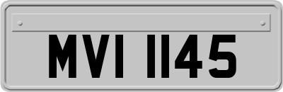 MVI1145