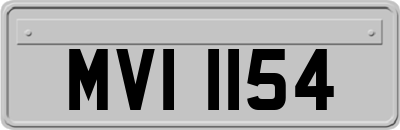 MVI1154