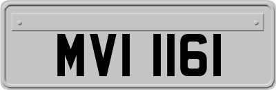 MVI1161