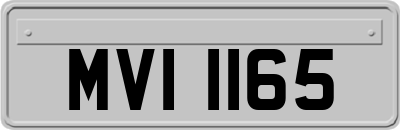 MVI1165