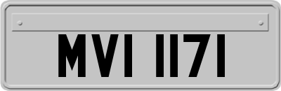 MVI1171