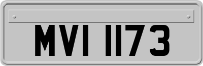 MVI1173