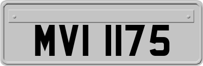 MVI1175