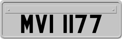 MVI1177