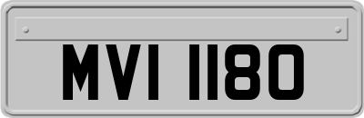 MVI1180