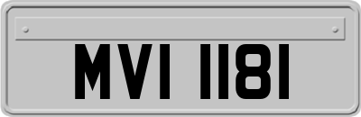 MVI1181