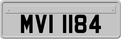 MVI1184