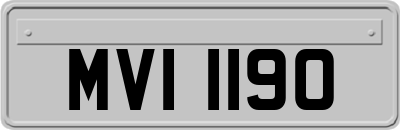 MVI1190