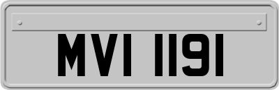 MVI1191
