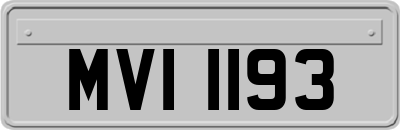 MVI1193
