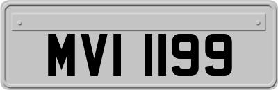 MVI1199