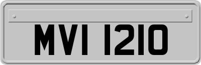 MVI1210