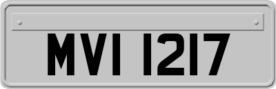 MVI1217