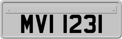MVI1231