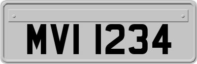MVI1234