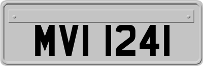 MVI1241