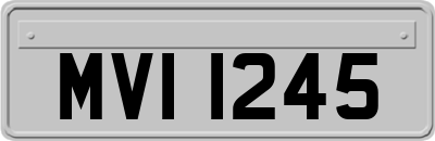 MVI1245
