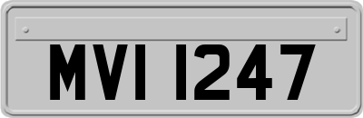 MVI1247