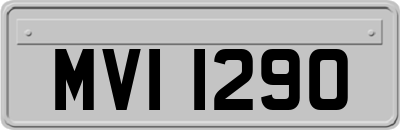 MVI1290