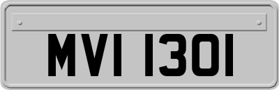 MVI1301