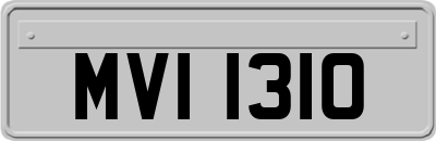 MVI1310