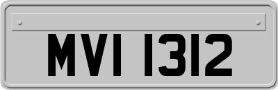 MVI1312