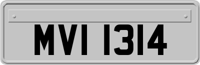 MVI1314