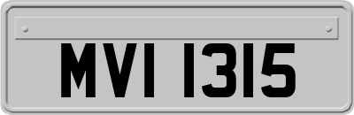 MVI1315