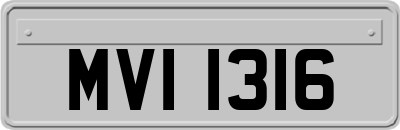 MVI1316
