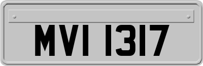 MVI1317