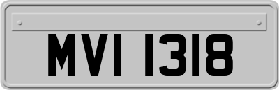 MVI1318