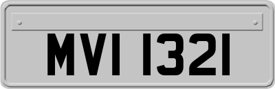 MVI1321