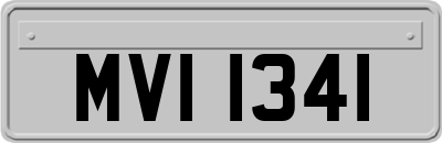 MVI1341