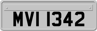 MVI1342