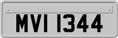 MVI1344