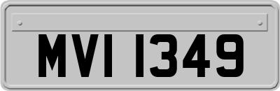 MVI1349